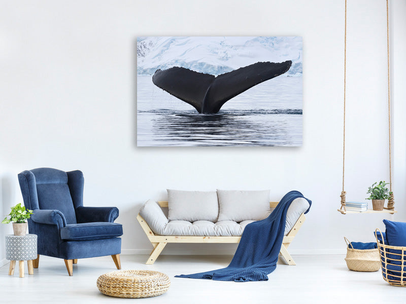 canvas-print-the-humpback-whale
