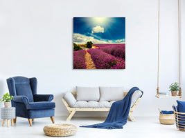 canvas-print-the-lavender-valley