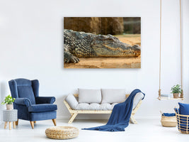 canvas-print-the-nile-crocodile