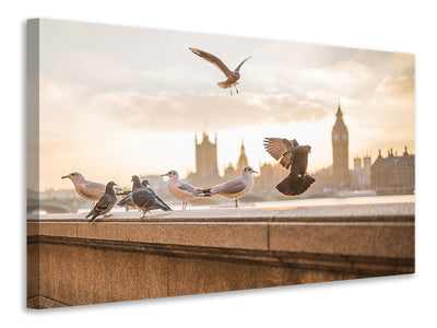 canvas-print-the-pigeons-on-the-roof