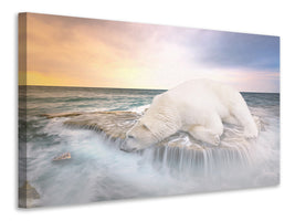 canvas-print-the-polar-bear-and-the-sea