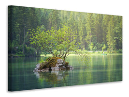 canvas-print-the-pond-in-the-forest