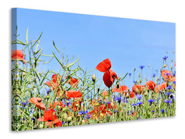 canvas-print-the-poppy-in-the-flower-meadow