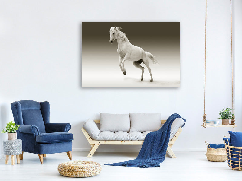 canvas-print-the-proud-mare
