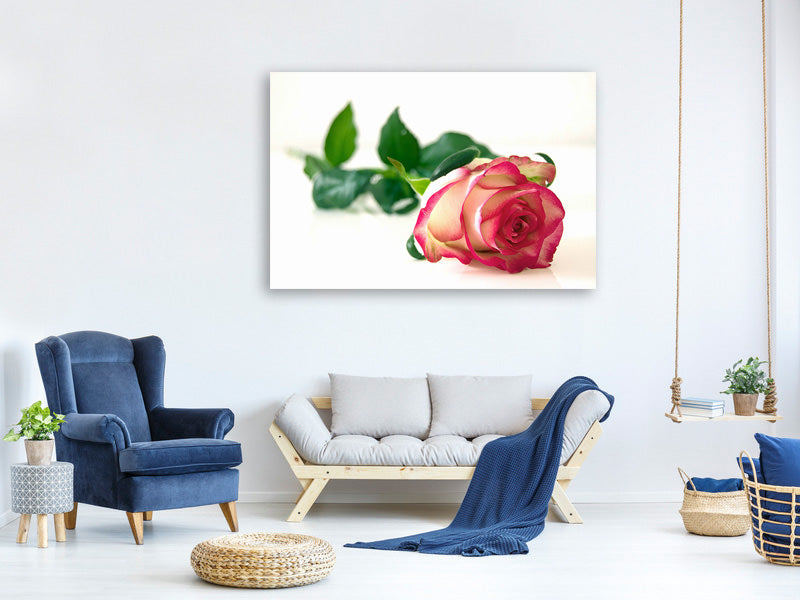 canvas-print-the-proud-rose