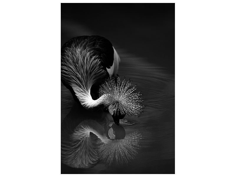 canvas-print-the-reflection