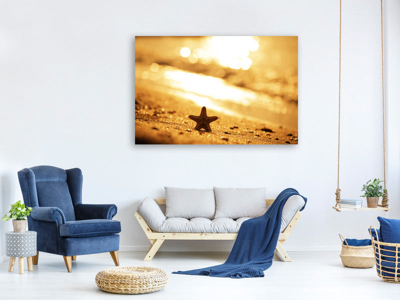 canvas-print-the-starfish