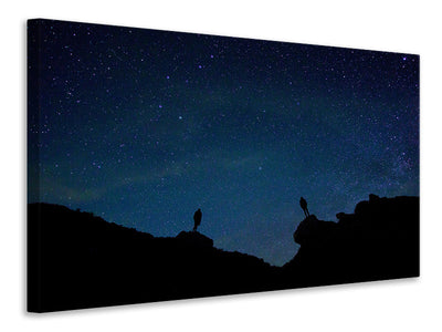 canvas-print-the-stargazers