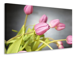 canvas-print-the-tulip-bouquet-in-pink