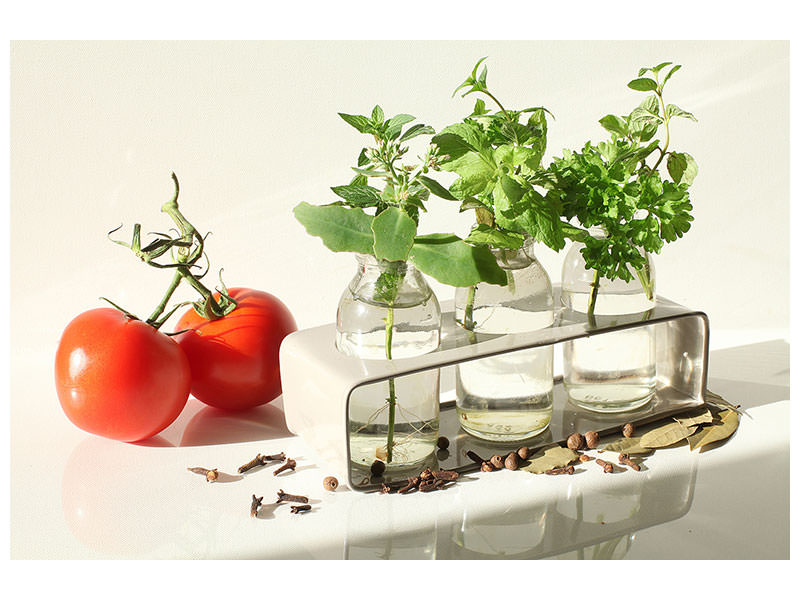 canvas-print-tomatoes-and-herbs
