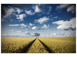 canvas-print-trace-a-trees-2-x