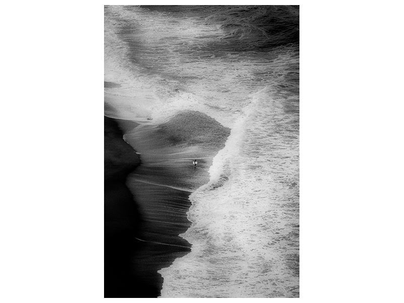 canvas-print-trying-to-surf-x