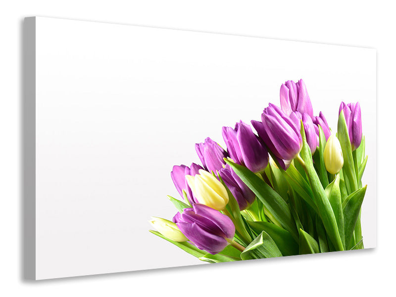 canvas-print-tulips-in-xl