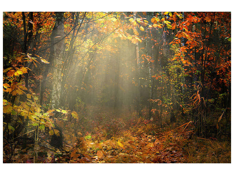 canvas-print-we-love-autumn