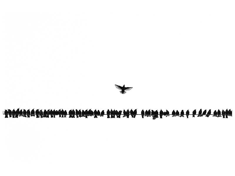 canvas-print-we-warn-you-icarus-not-too-close-to-the-sun-x