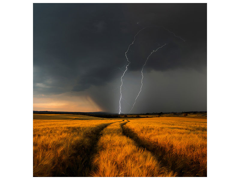 canvas-print-wetterfront