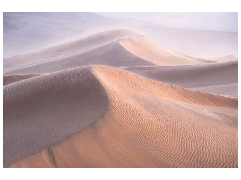 canvas-print-wind