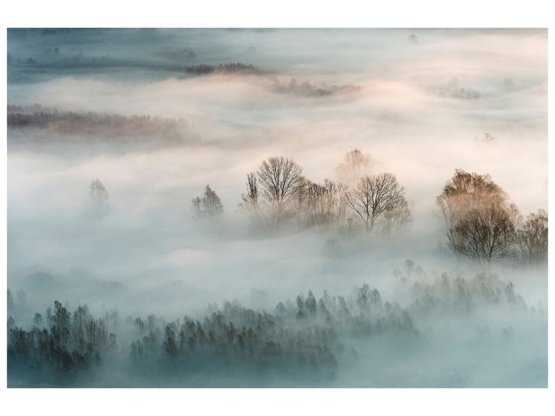 canvas-print-winter-fog