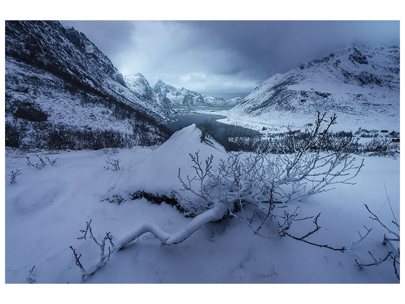 canvas-print-winter-is-coming-a