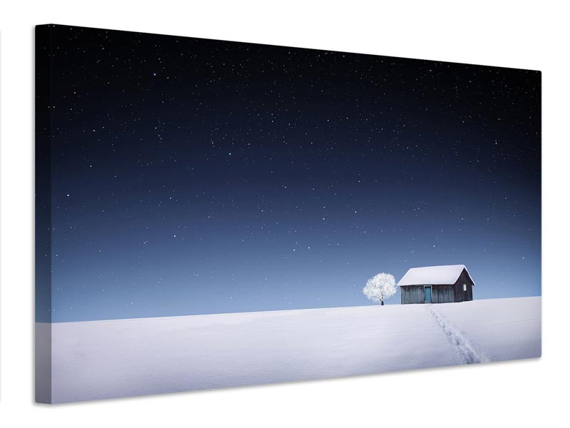 canvas-print-winter-xyv