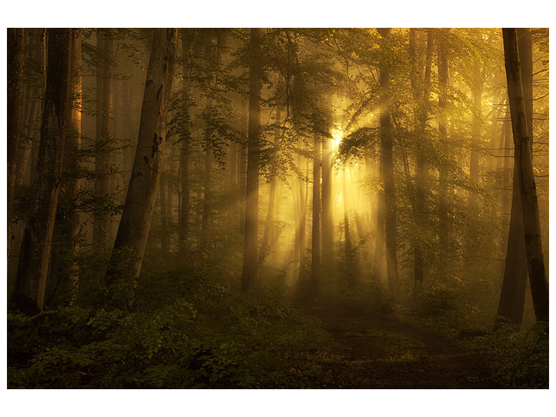canvas-print-yellow-the-bigger-picture