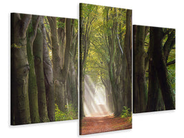modern-3-piece-canvas-print-a-glorious-day