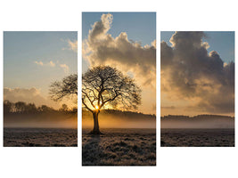 modern-3-piece-canvas-print-a-lonely-tree