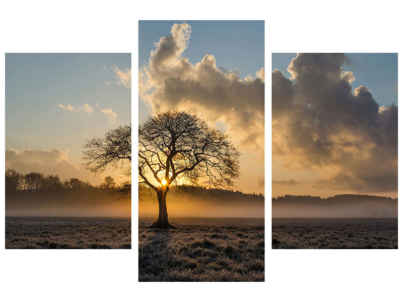 modern-3-piece-canvas-print-a-lonely-tree