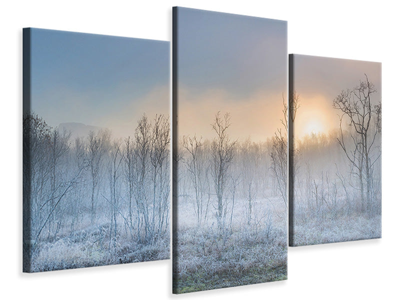 modern-3-piece-canvas-print-a-touch-of-winter