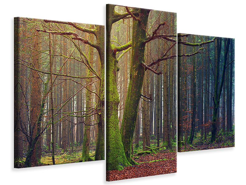 modern-3-piece-canvas-print-alone-in-the-woods
