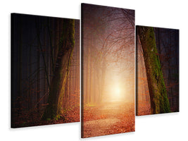 modern-3-piece-canvas-print-autumn-in-the-woods