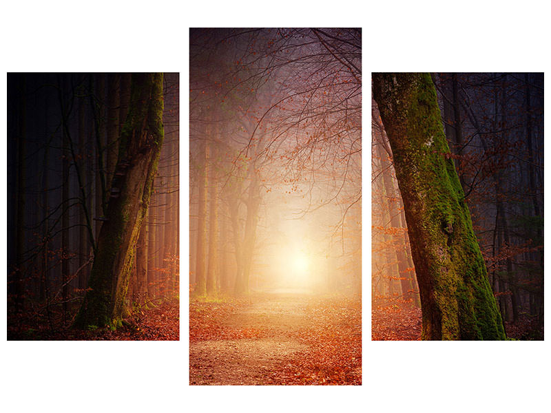 modern-3-piece-canvas-print-autumn-in-the-woods