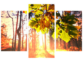 modern-3-piece-canvas-print-autumn