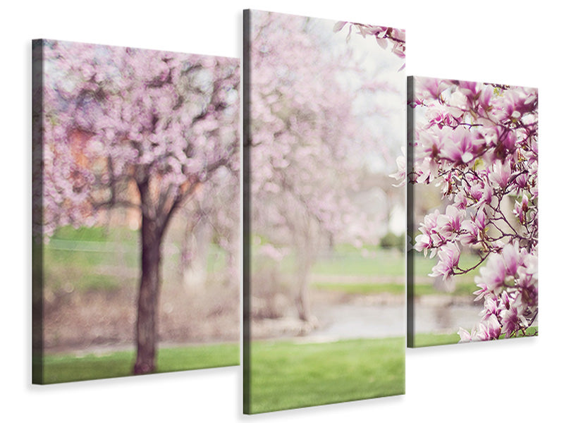 modern-3-piece-canvas-print-beautiful-magnolias