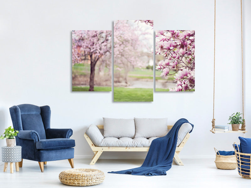 modern-3-piece-canvas-print-beautiful-magnolias