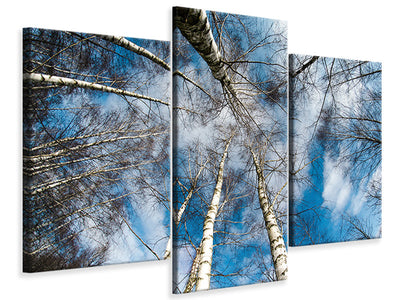 modern-3-piece-canvas-print-birch-crowns