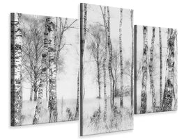 modern-3-piece-canvas-print-black-and-white