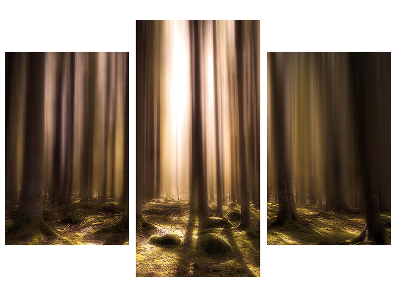 modern-3-piece-canvas-print-breath-of-life