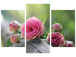 modern-3-piece-canvas-print-bush-roses