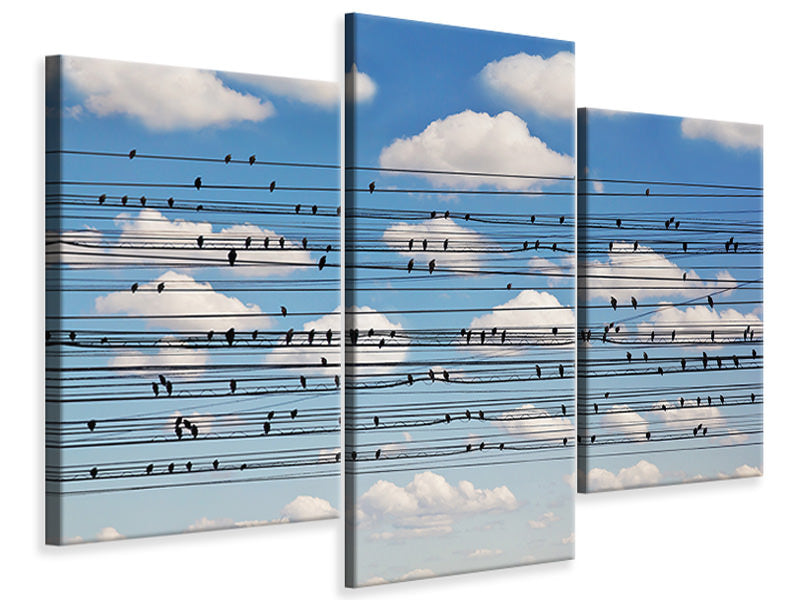modern-3-piece-canvas-print-cantus-arcticus-concerto-for-birds