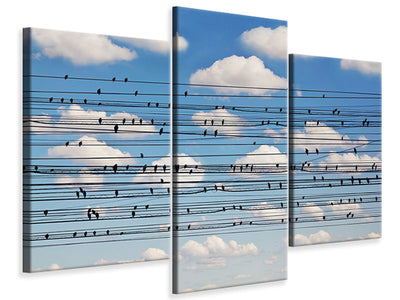 modern-3-piece-canvas-print-cantus-arcticus-concerto-for-birds
