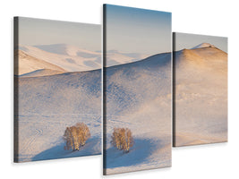 modern-3-piece-canvas-print-cappuccino-land