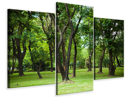 modern-3-piece-canvas-print-cherry-garden