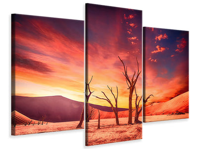 modern-3-piece-canvas-print-colorful-desert