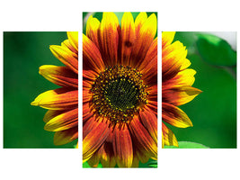 modern-3-piece-canvas-print-colorful-sunflower