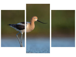 modern-3-piece-canvas-print-complementary-colors