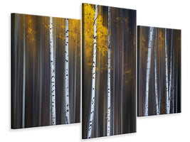 modern-3-piece-canvas-print-curtain-of-fall