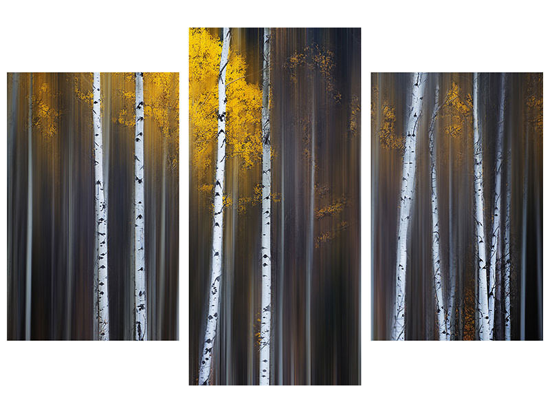 modern-3-piece-canvas-print-curtain-of-fall
