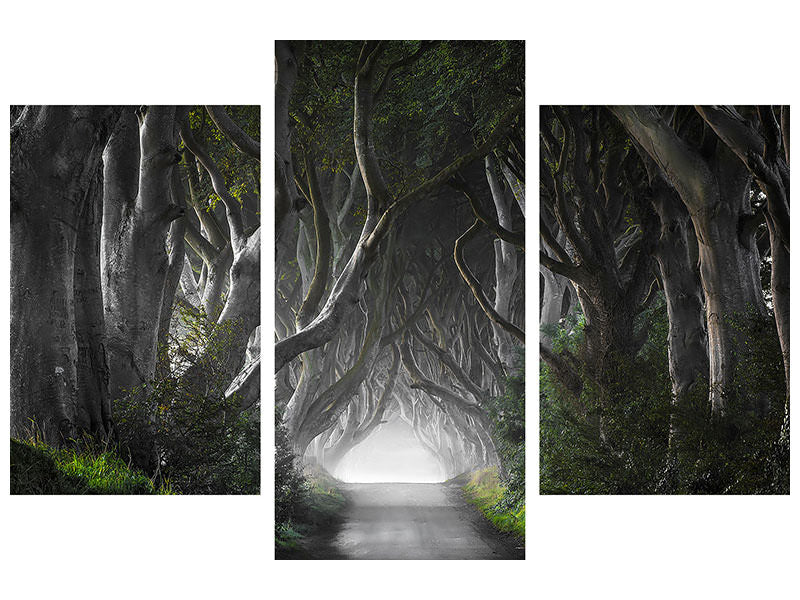 modern-3-piece-canvas-print-dark-hedges