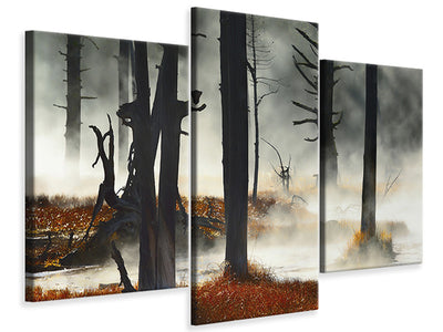 modern-3-piece-canvas-print-deadwood